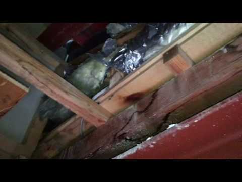 10月18日の作業 M様邸 雨漏り散水検査