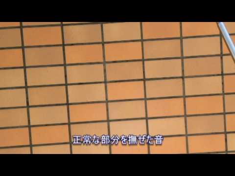 【打診検査】動画で見る施工事例