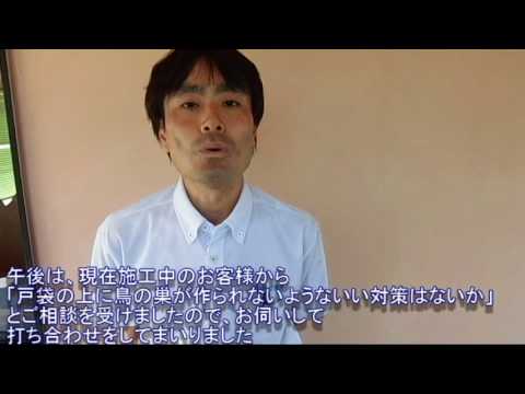 津島市の外壁・屋根塗装なら美和建装！鳥被害などもご相談ください