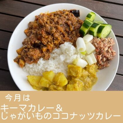 キーマカレー＆じゃがいものココナッツカレー