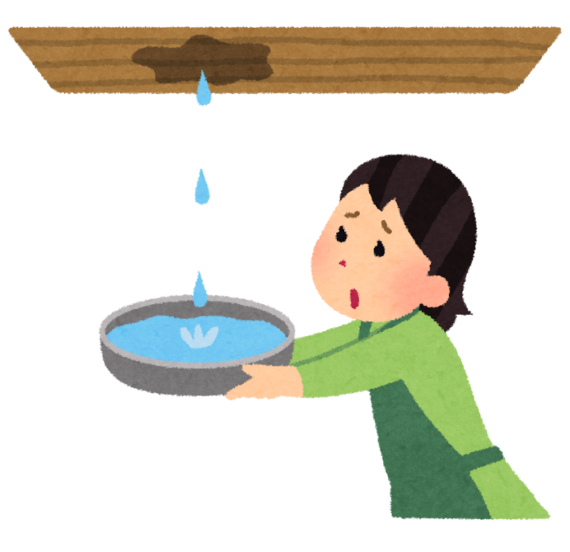 そんなところから雨漏り??