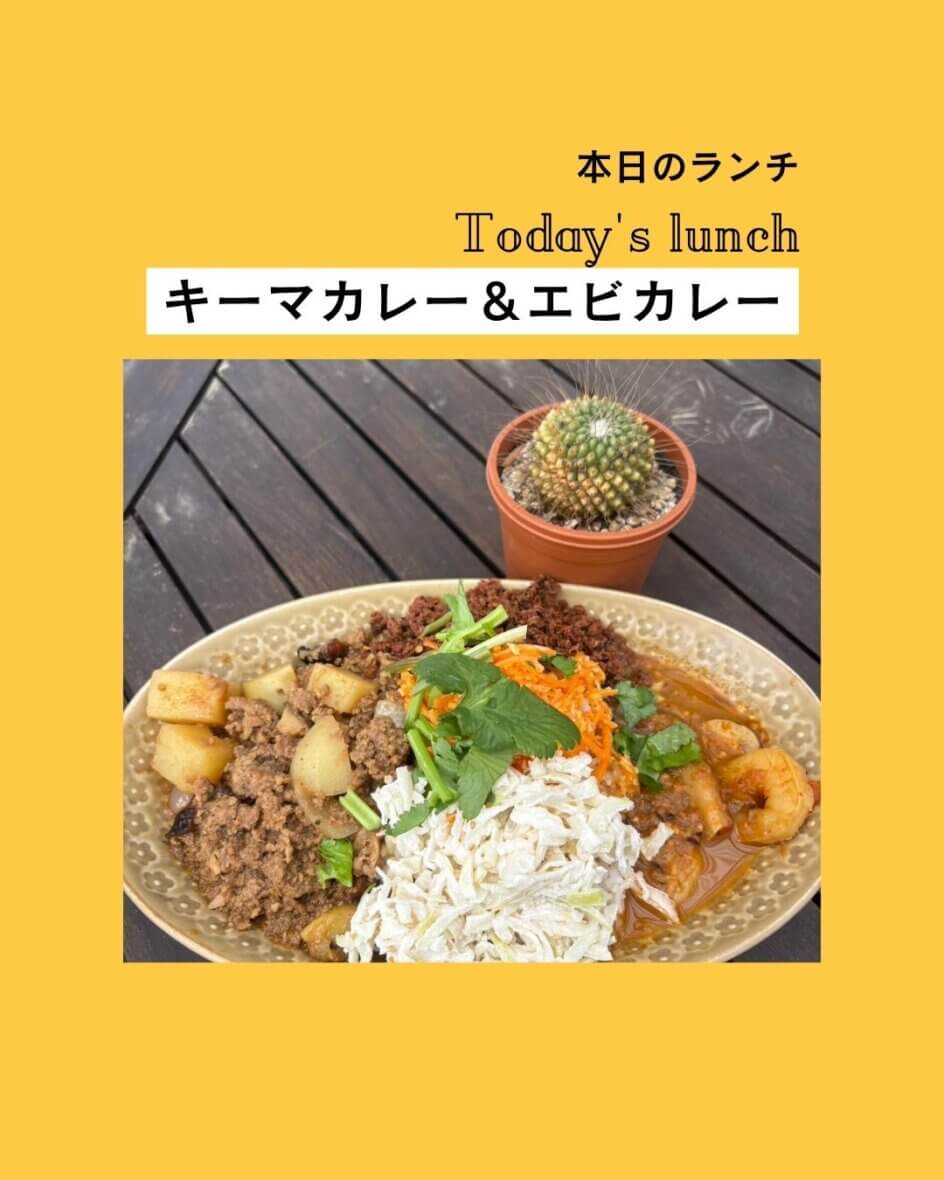 キーマカレー＆エビカレー