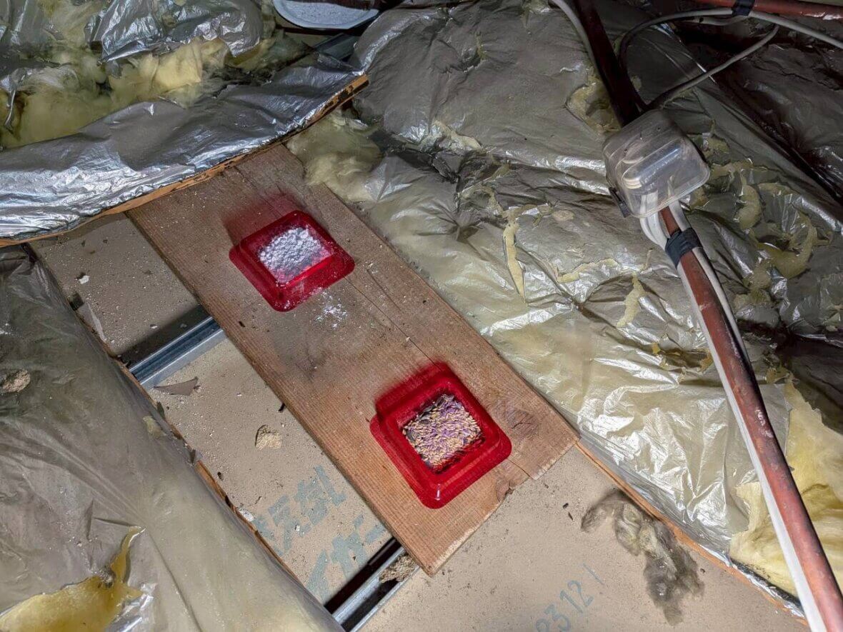 LINE_ALBUM_山田様邸　メンテナンス2回目_260404_2