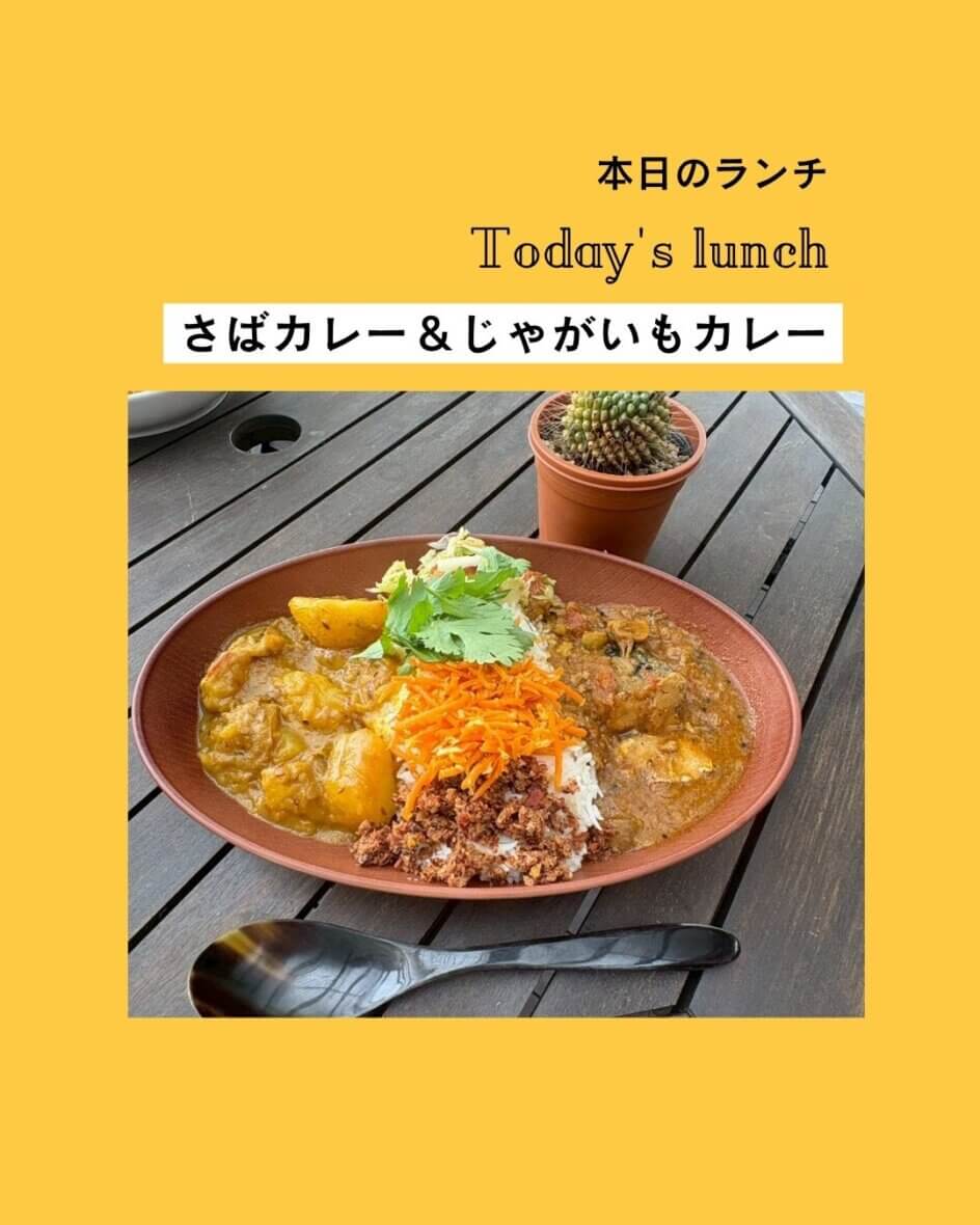 さばカレー＆じゃがいもカレー