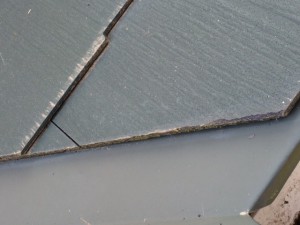 image1(4)